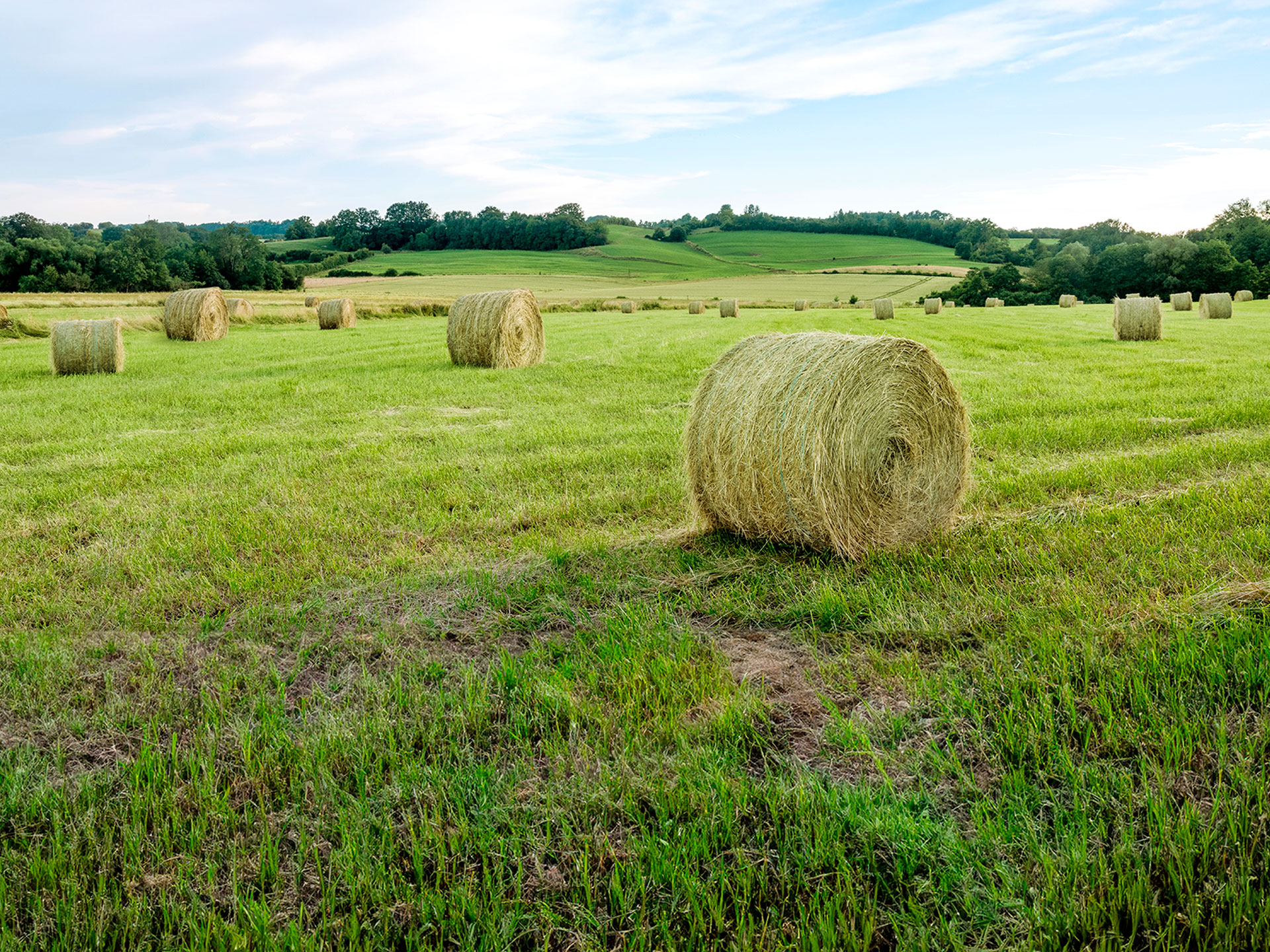 heinäpaalit pellolla